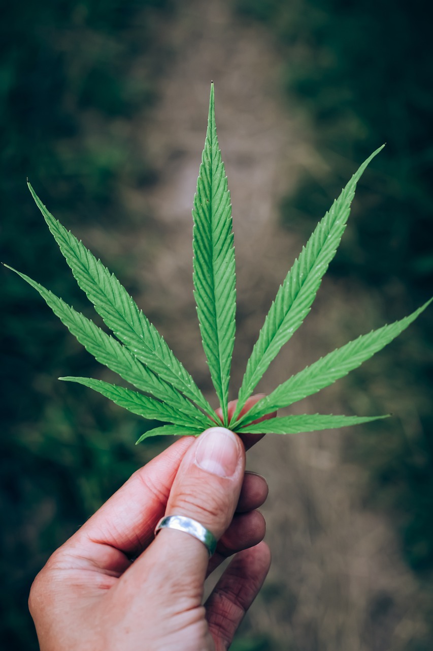 phone wallpaper, leaf, marijuana-7713989.jpg